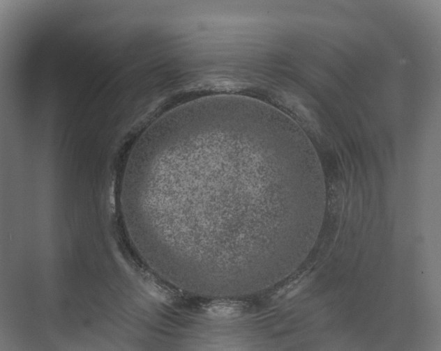 X0000074260358200609011349