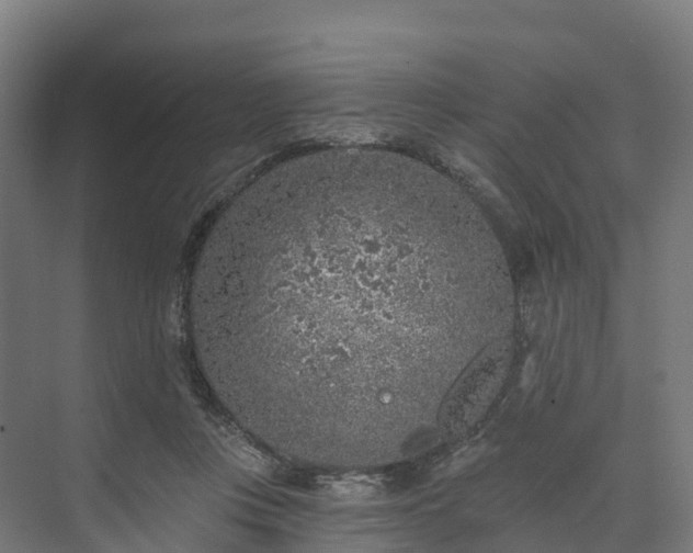 X0000074260359200609011349