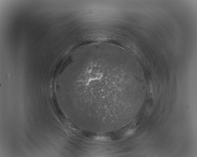 X0000074260360200609011349