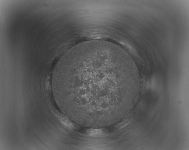 X0000074260361200609011349