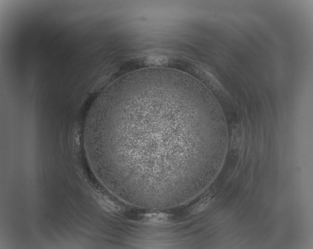 X0000074260363200609011349