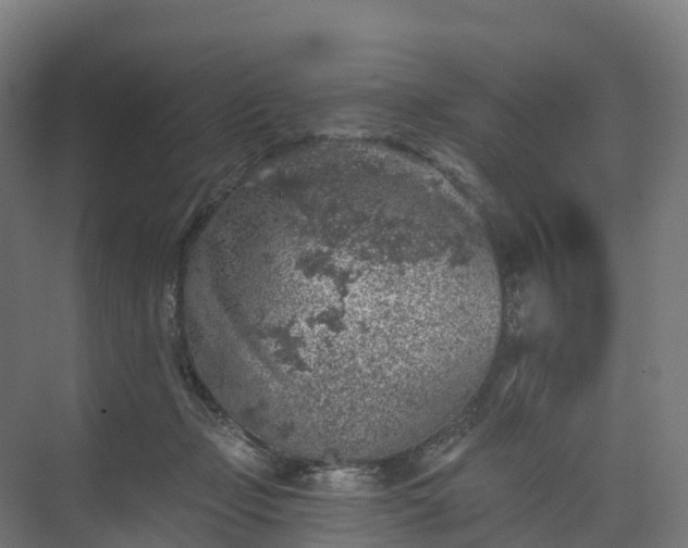 X0000074260365200609011349