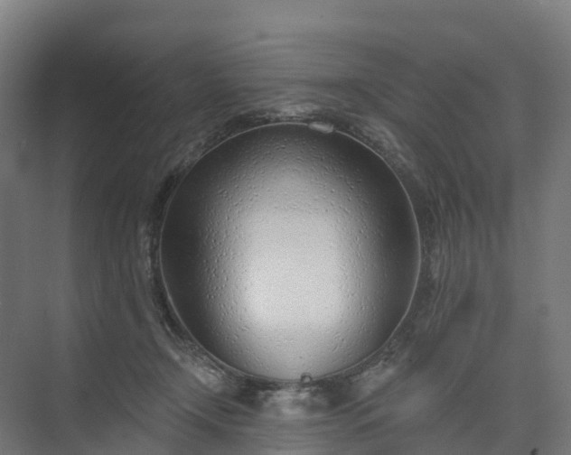 X0000074260366200609011349