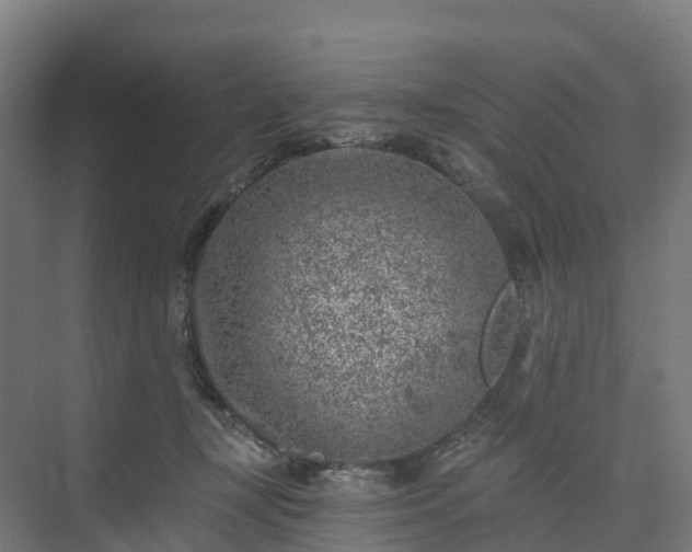 X0000074260367200609011349