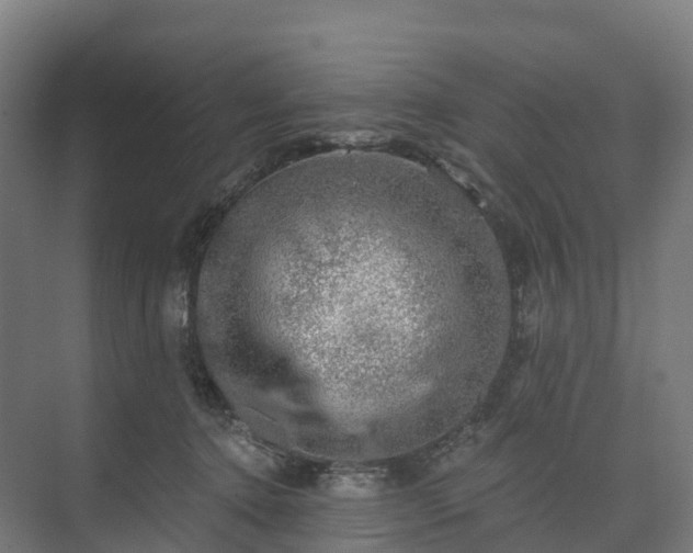 X0000074260368200609011349