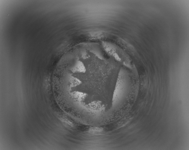 X0000074260369200609011349