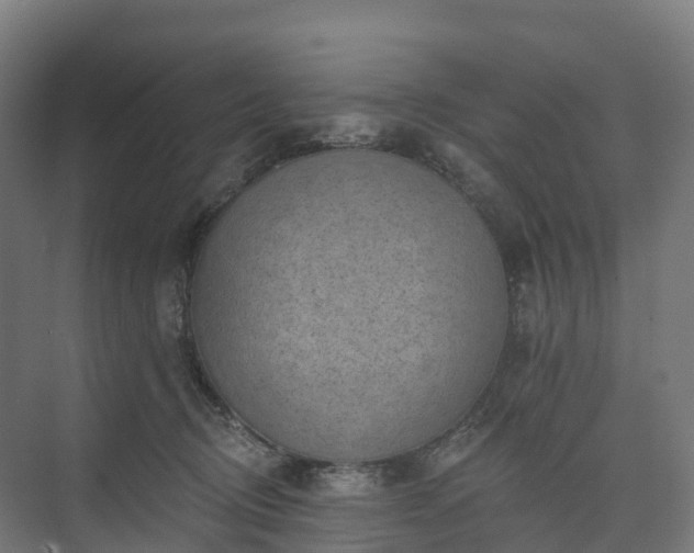 X0000074260370200609011349