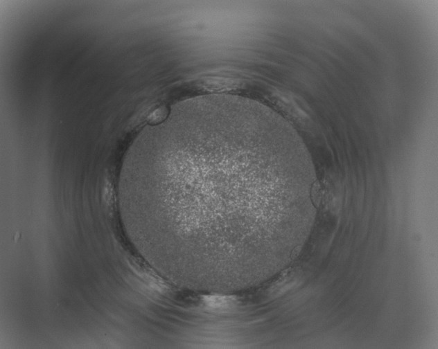 X0000074260371200609011349