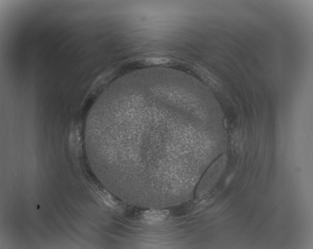 X0000074260373200609011349