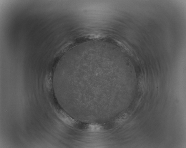 X0000074260376200609011349