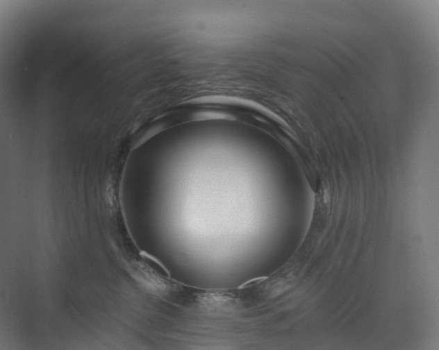 X0000074260380200609011349