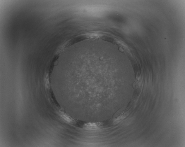 X0000074260381200609011349