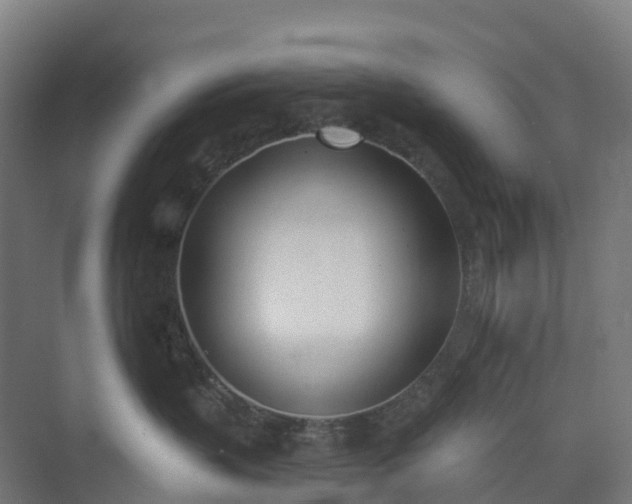 X0000074260383200609011349