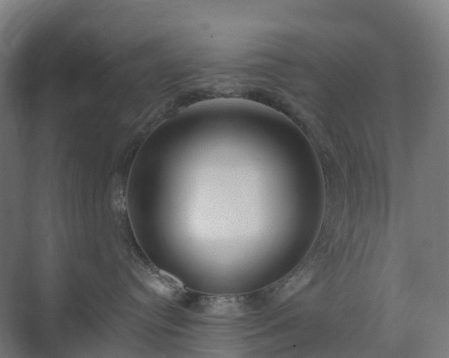 X0000074260384200609011349