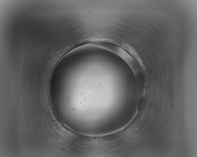 X0000074260385200609011348