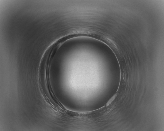 X0000074260388200609011348