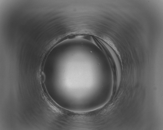 X0000074260389200609011348