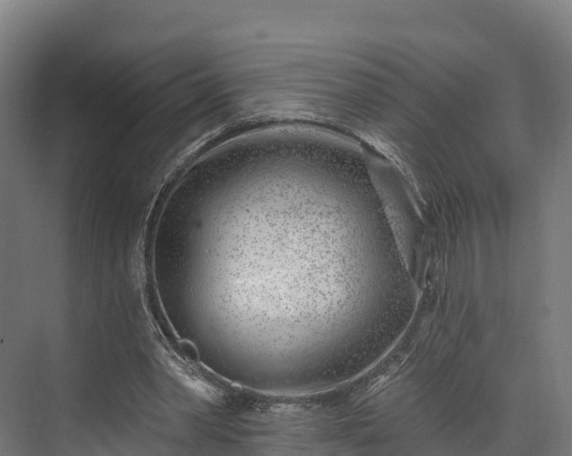 X0000074260390200609011348