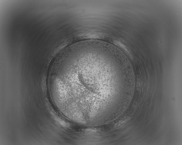 X0000074260394200609011348