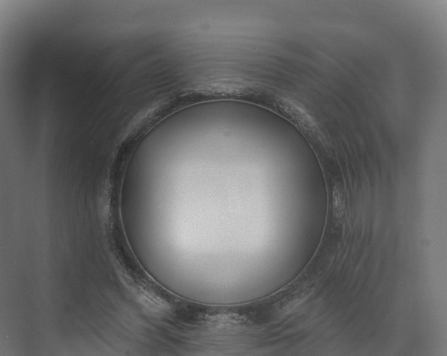 X0000074260396200609011348