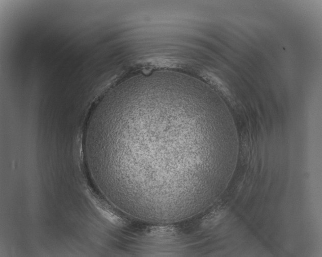 X0000074260398200609011348