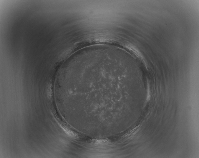 X0000074260401200609011348