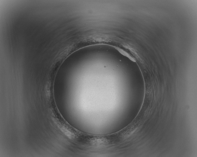 X0000074260402200609011348