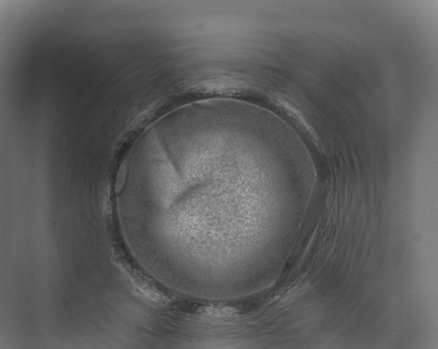 X0000074260403200609011348