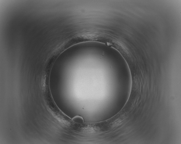 X0000074260404200609011348