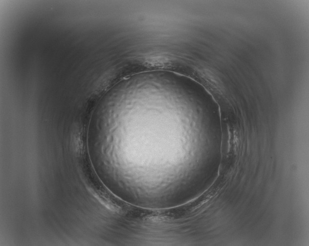 X0000074260408200609011348