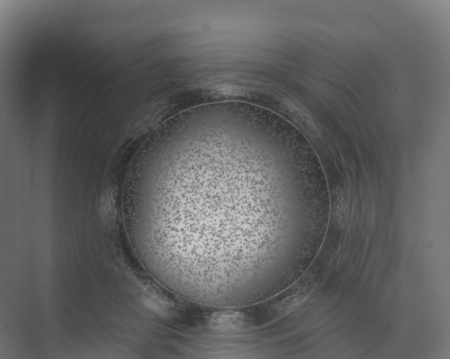 X0000074260410200609011348