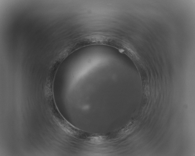 X0000074260411200609011348