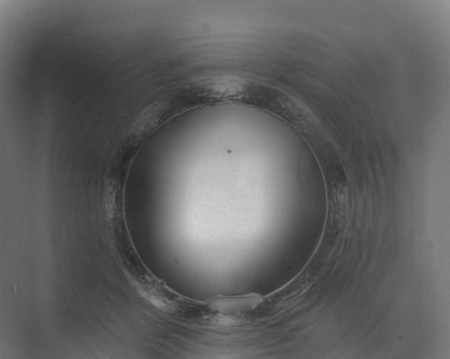 X0000074260412200609011348