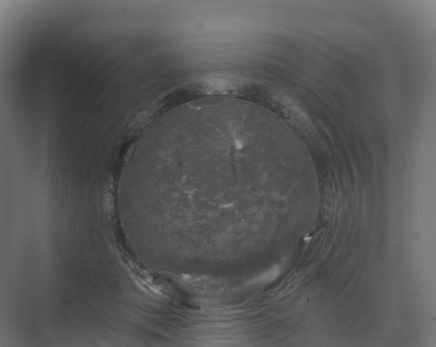 X0000074260413200609011348