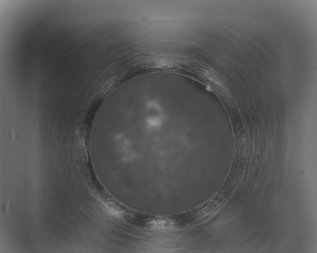 X0000074260415200609011348