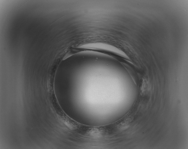 X0000074260416200609011348