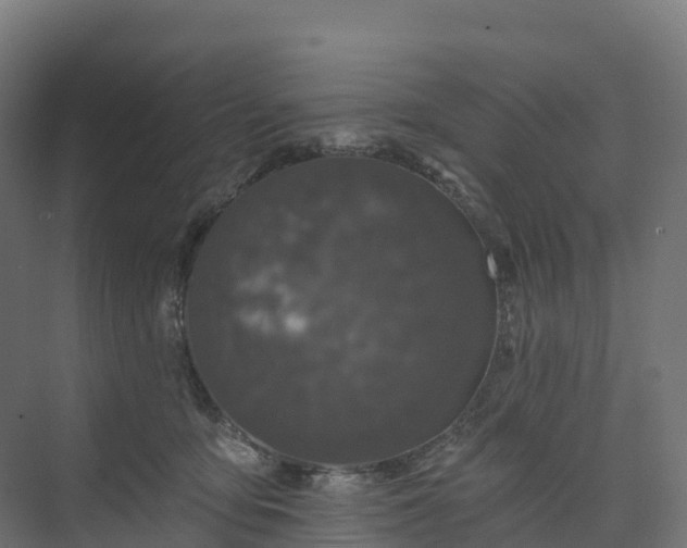 X0000074260419200609011348