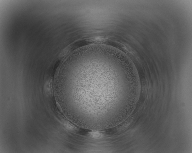 X0000074260425200609011347