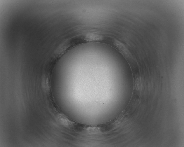 X0000074260426200609011347