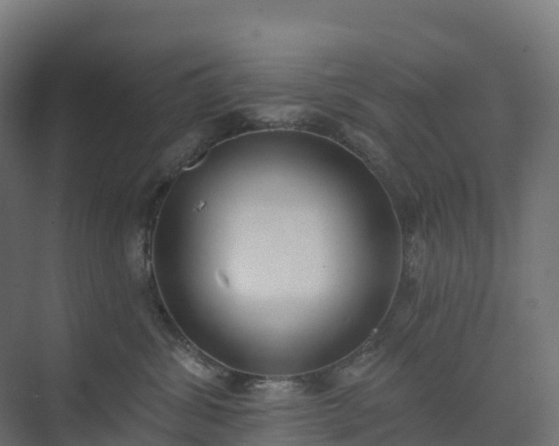 X0000074260428200609011347