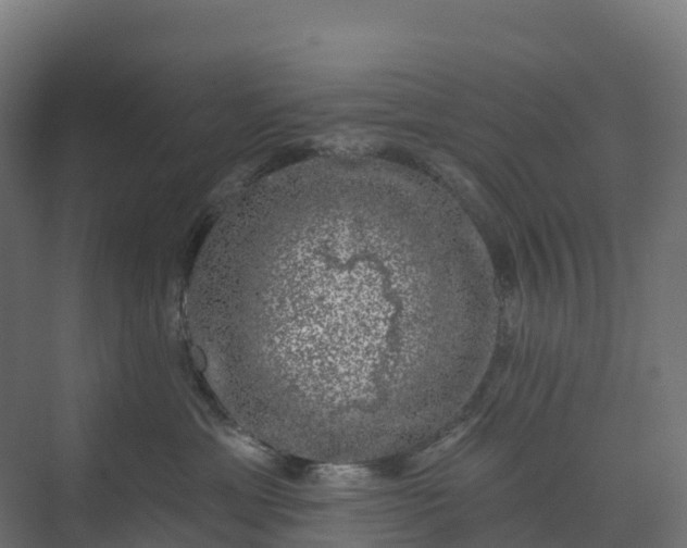 X0000074260429200609011347