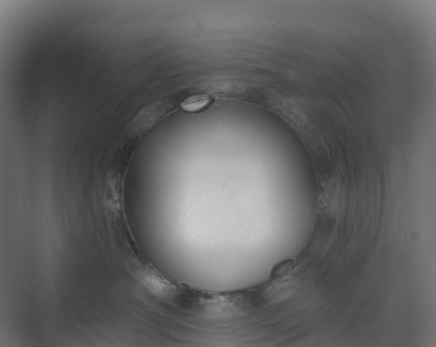 X0000074260430200609011347