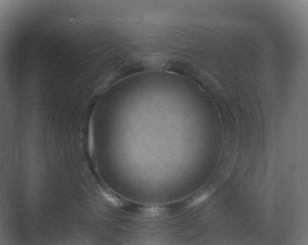 X0000074260432200609011347