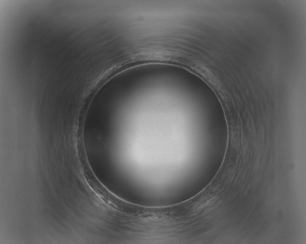 X0000074260434200609011347