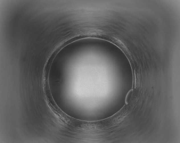 X0000074260435200609011347