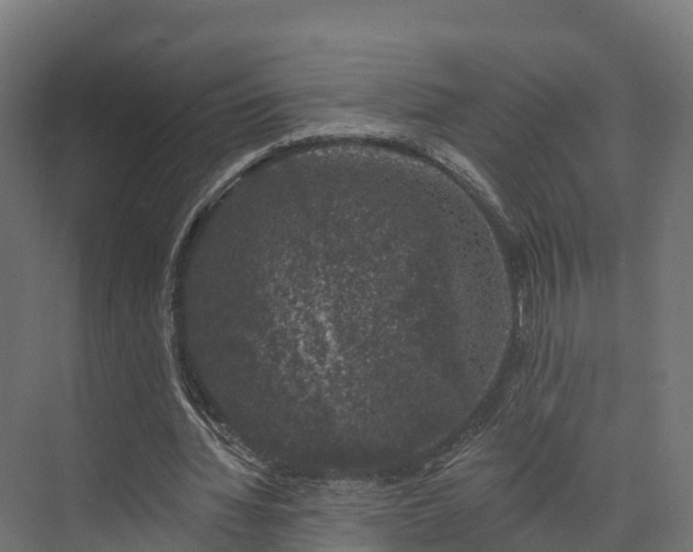 X0000074260436200609011347