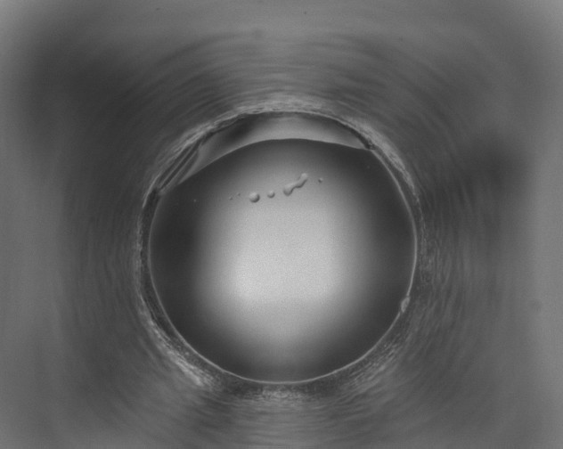 X0000074260437200609011347