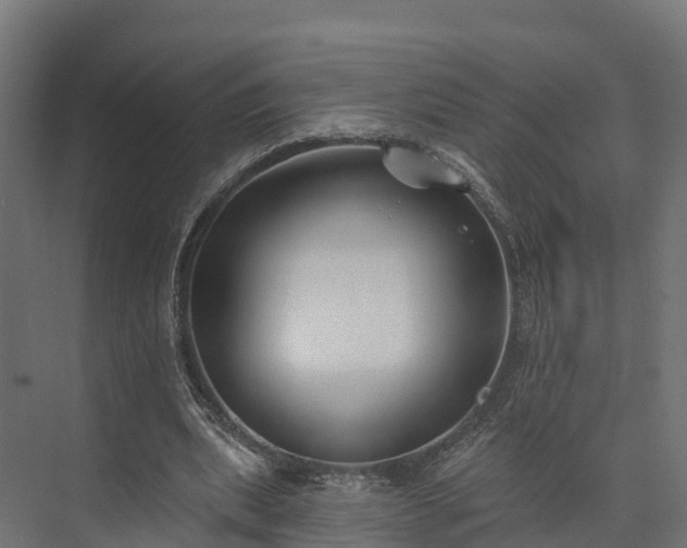 X0000074260439200609011347