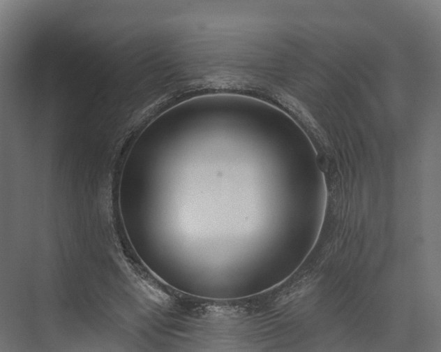 X0000074260442200609011347