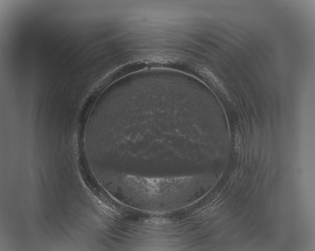 X0000074260444200609011347